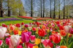 ��31���й���ά�������������ῪĻ