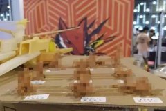 ������Ŀ���Ϻ����������չ����������ְ� ���췽��Ӧ