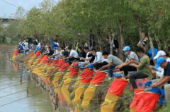 �������������й�����������߲�����