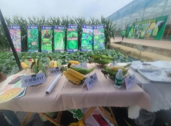 2024���21������ũ�ʲ����ᡢ������ҵ������