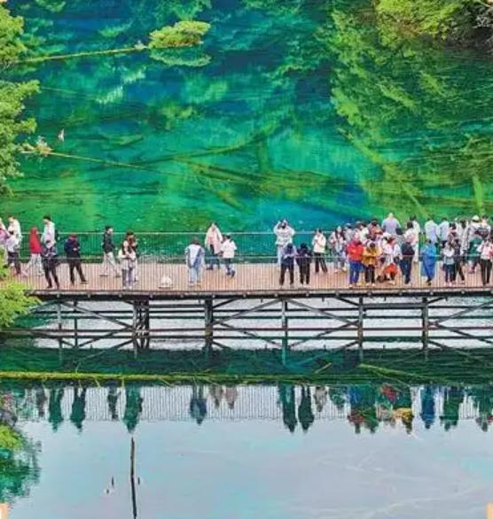 2025���Ļ�����Ȼ�Ų����������л��Ļʽ�ں��ϳ�ɳ����