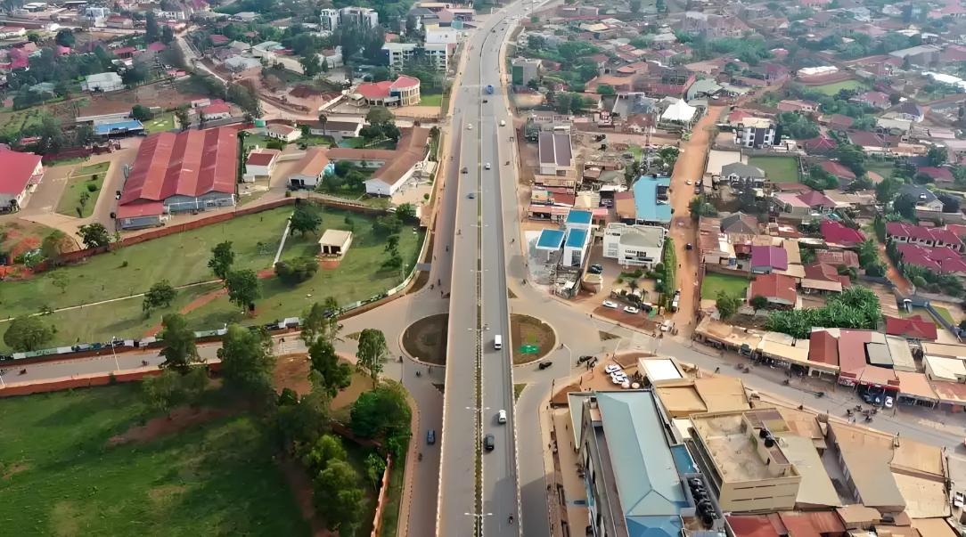 2025����޿�����販����7����¬�����׶���������Ļ