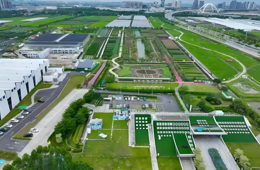 ͨ����չ���õȶ�ά������Ϊ�Ƹ�������ɫ���ʻ�����ע��ǿ������