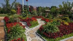 �ڶ�ʮ������ԭ��ľ���ײ������ں���ʡ������۳���ؾٰ�