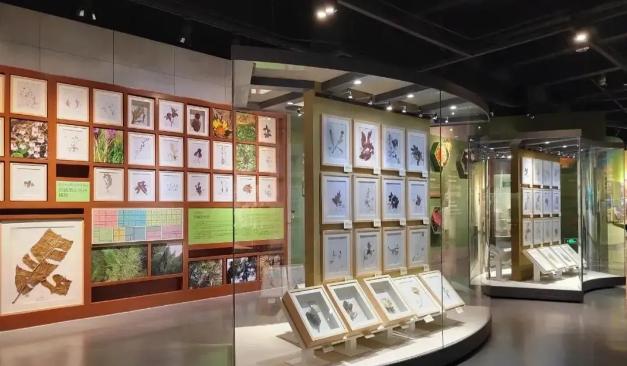 ������Ȼ��ѧ������ں����ڼ��Ƴ�һϵ�п��ջ