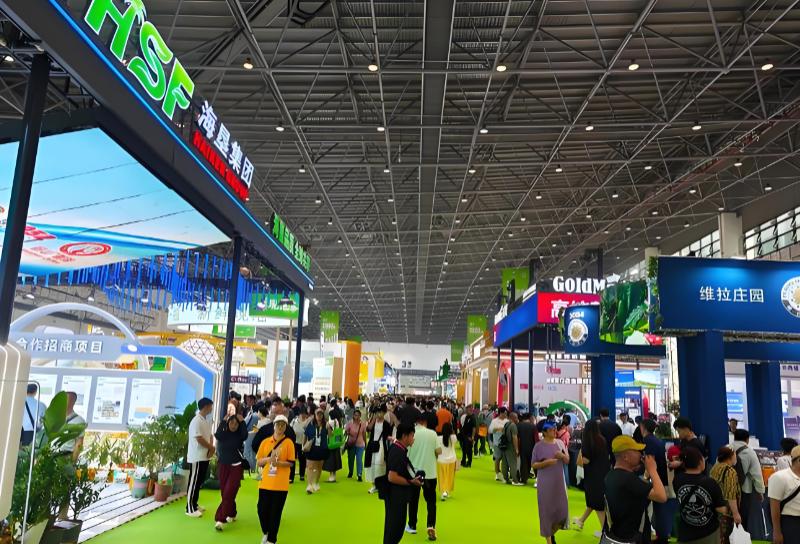 �۽�������ġ����ЧӦ����չ����ҵ��ν�����������չ�г�