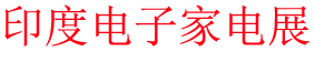 2023ӡѵӼҵ粩