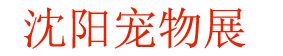 2023Ľ춫ʳﲩ