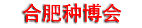 2026��ʮ�˽��й��Ϸʹ�����ҵ������